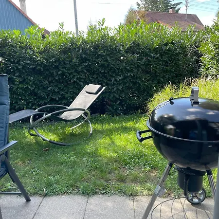 Seemoewe Oberuhldingen