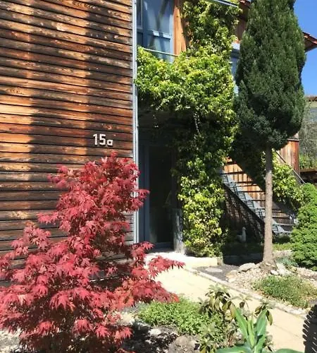 Seemoewe * Oberuhldingen