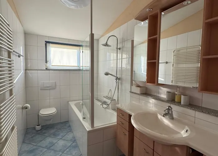 Seemoewe Oberuhldingen