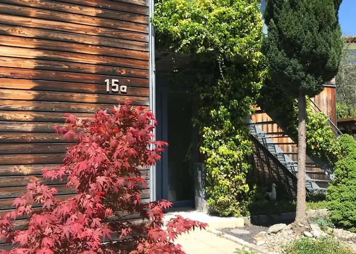 Seemoewe * Oberuhldingen